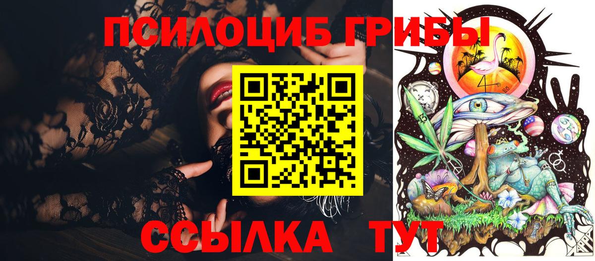 Псилоцибиновые грибы мицелий Аша